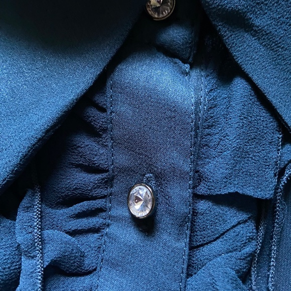 Pamela Dennis Sheer Silk Ruffled Button Front Blouse with Silk Cami Size M - Picture 5 of 10